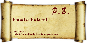 Pandia Botond névjegykártya