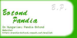 botond pandia business card
